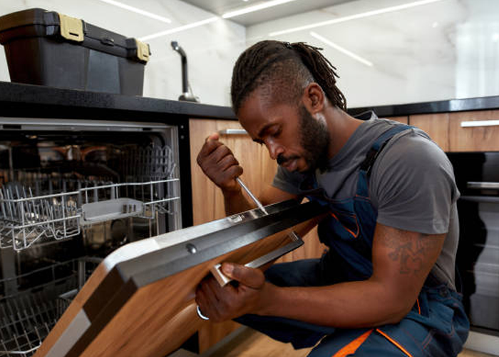 How Do Ottawa Families Avoid Dishwasher Leaks and Malfunctions?